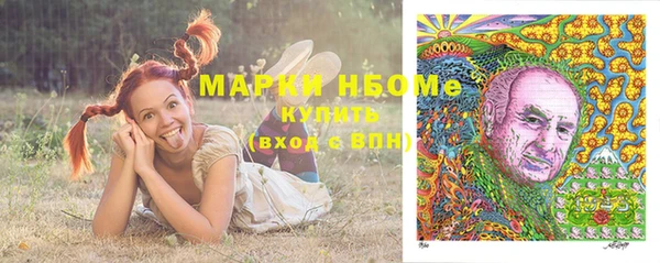 стаф Лабытнанги