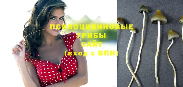 спиды Кулебаки