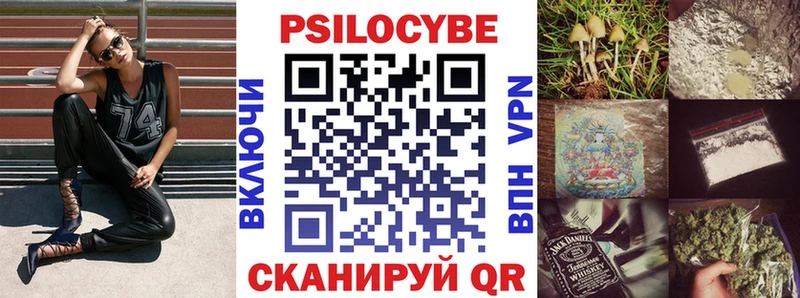 Купить  Жердевка  Псилоцибиновые грибы Psilocybe 